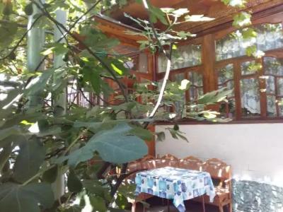 Lovely home for you Guest Home - 31