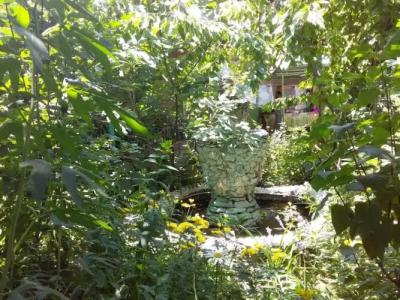 Lovely home for you Guest Home - 76