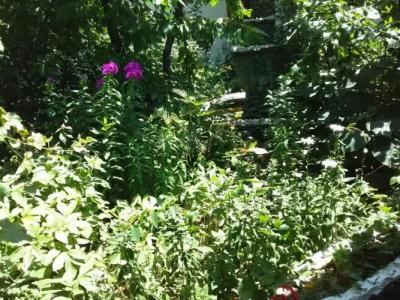 Lovely home for you Guest Home - 38