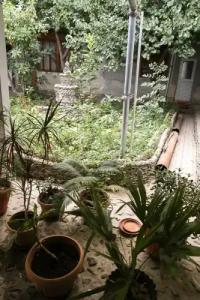 Lovely home for you Guest Home - 4