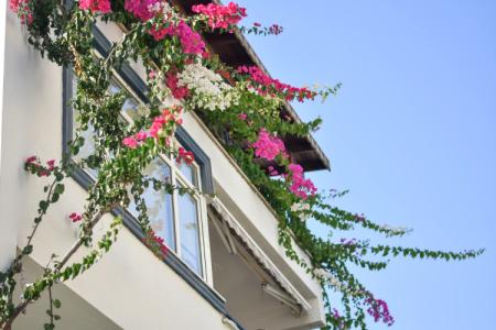 Kaya Apart Datca - 96