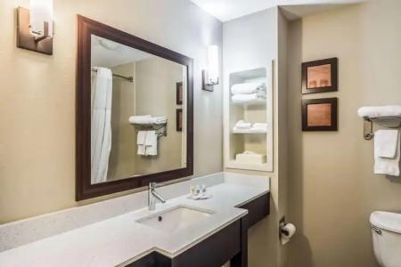 Comfort Inn & Suites Chattanooga West - Lookout Mountain - 7