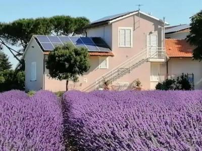 Agriturismo Susanna e Atria - 13