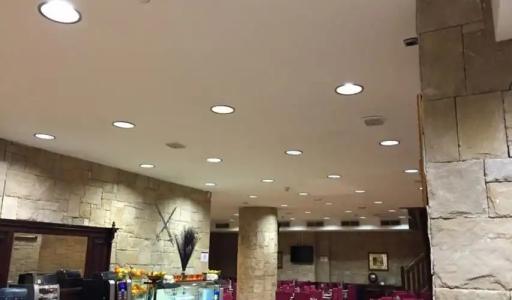 Camel.lot by Nexta - 20