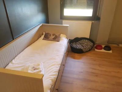 Camel.lot by Nexta - 2