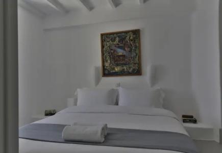 Trieris Villa & Suites - 1