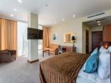 Deluxe Double room with park view