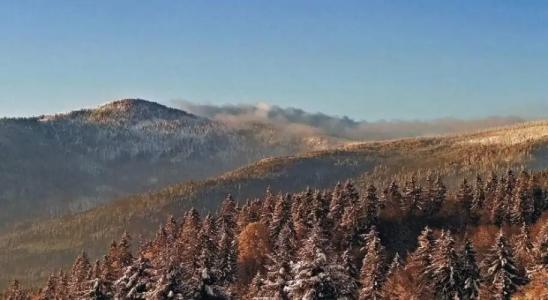 Berggasthof Lusen - 7