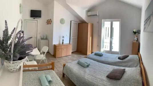 Guest House Zvezda Meljine - 23