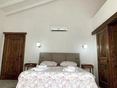 Windmill Alacati - 12