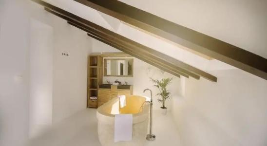 Dolphin Suites - 16