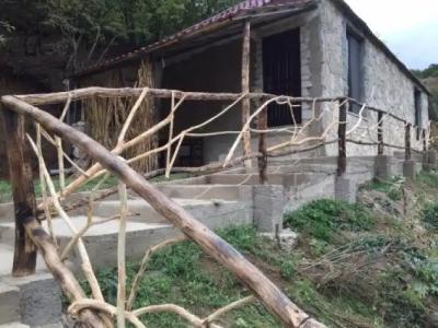 Belveder Eco Resort - 10