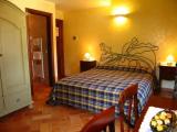 Standard Quadruple Duplex room