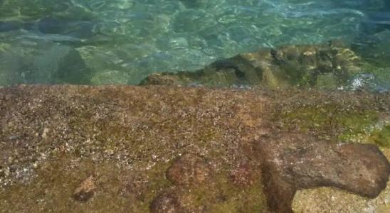 Punta Del Corno - 14