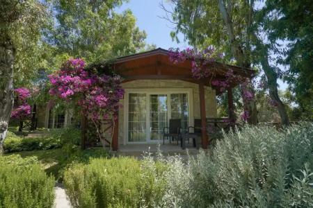 Dirik Surf & Beach Club - 24