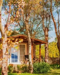 Dirik Surf & Beach Club - 47