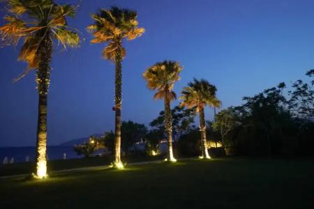 Dirik Surf & Beach Club - 10