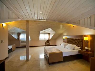 Boutique Montana Mini-Hotel - 32