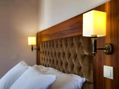 Boutique Montana Mini-Hotel - 20