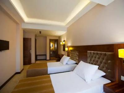 Boutique Montana Mini-Hotel - 31