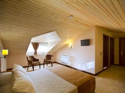 Boutique Montana Mini-Hotel - 42