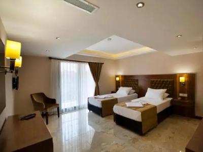 Boutique Montana Mini-Hotel - 21