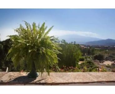 B&B Villa Accademia - 20