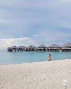 Kihaa Maldives - 84
