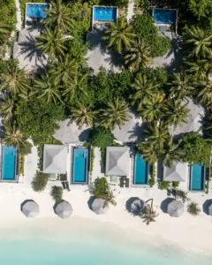 Kihaa Maldives - 8
