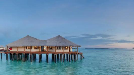 Kihaa Maldives - 31