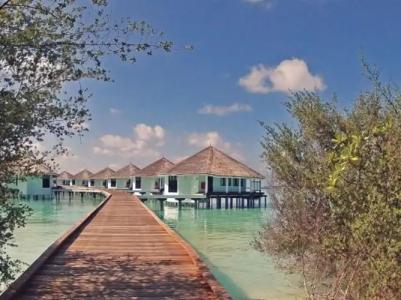Kihaa Maldives - 100