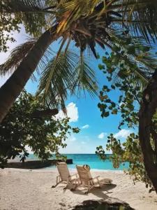 Makunudu Island - 71