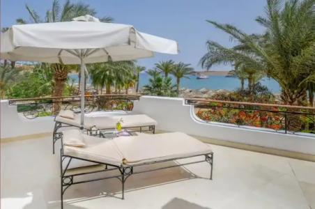 Iberotel Palace - Adults Only 16+ - 74