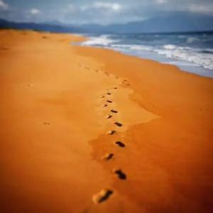 Ostria Kakovatos Beach - 10