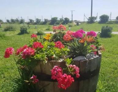 Ostria Kakovatos Beach - 12