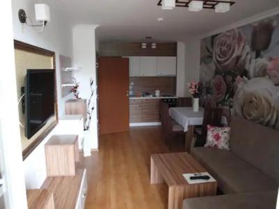 Apart Sweet Homes 5 - Apartments for guests - 16