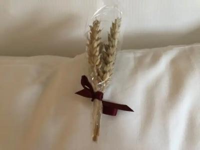 Aksjemøllen - by Classic Norways - 27