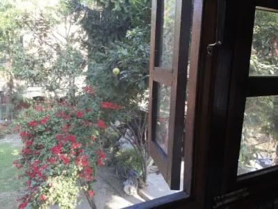 Krishna House - 24
