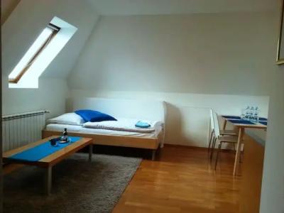 Villa Ostrava 3+ - 3
