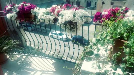 B&B Al Vecchio Borgo - 13