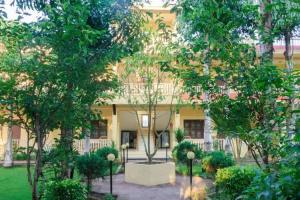 Hotel Rainforest, Sauraha