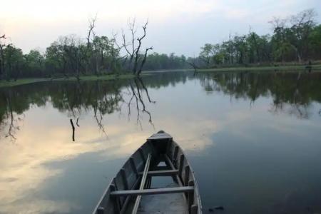 Jungle Wildlife Camp - 1