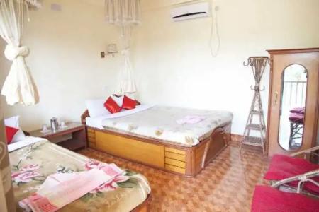 Jungle Wildlife Camp - 10