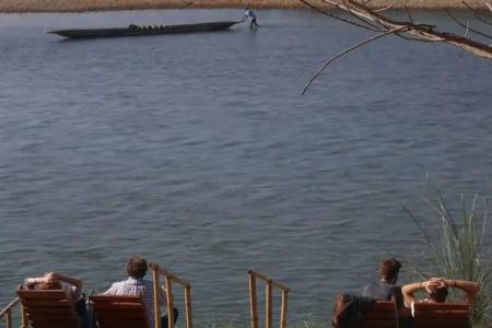 Jungle Wildlife Camp - 5