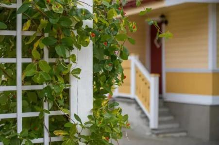 Posti Hostel - 38