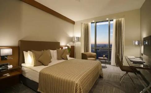 Radisson Blu Ankara Cankaya - 110