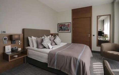 Radisson Blu Ankara Cankaya - 107