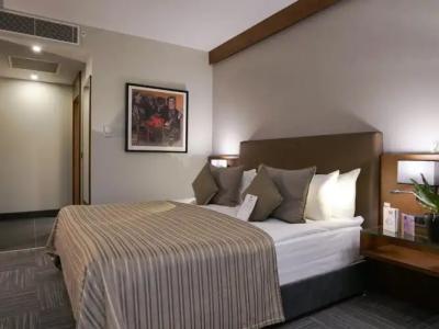 Radisson Blu Ankara Cankaya - 102