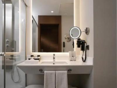 Radisson Blu Ankara Cankaya - 103