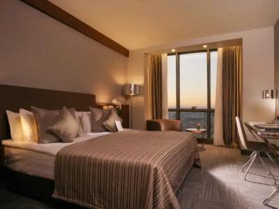Radisson Blu Ankara Cankaya - 101